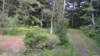 長野県菅平高原 ゆたか山荘 坂上 2026/08/14 14:15