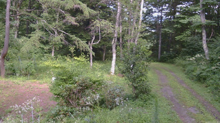 長野県菅平高原 ゆたか山荘 坂上 2026/08/14 14:30
