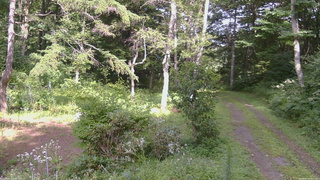 長野県菅平高原 ゆたか山荘 坂上 2026/08/14 14:45