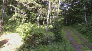 長野県菅平高原 ゆたか山荘 坂上 2026/08/14 15:45
