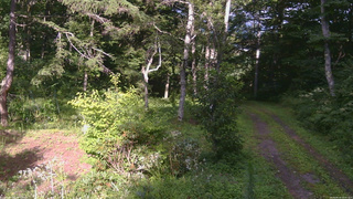 長野県菅平高原 ゆたか山荘 坂上 2026/08/14 16:00
