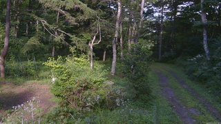 長野県菅平高原 ゆたか山荘 坂上 2026/08/14 16:15