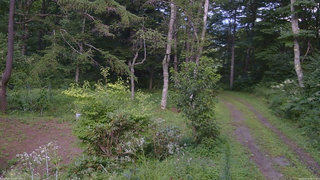 長野県菅平高原 ゆたか山荘 坂上 2026/08/14 16:30