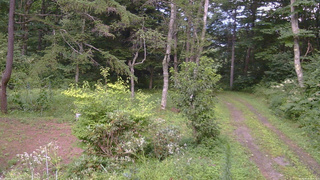 長野県菅平高原 ゆたか山荘 坂上 2026/08/14 16:45