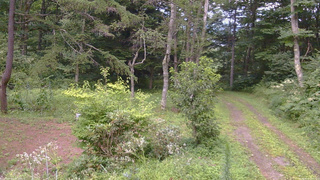 長野県菅平高原 ゆたか山荘 坂上 2026/08/14 17:00