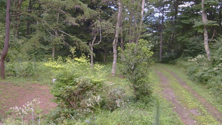 長野県菅平高原 ゆたか山荘 坂上 2026/08/14 17:15