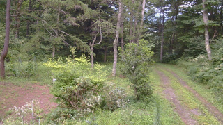 長野県菅平高原 ゆたか山荘 坂上 2026/08/14 17:30