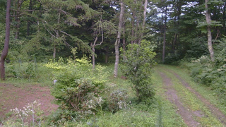 長野県菅平高原 ゆたか山荘 坂上 2026/08/14 17:45