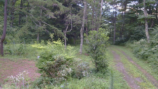 長野県菅平高原 ゆたか山荘 坂上 2026/08/14 18:00