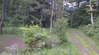 長野県菅平高原 ゆたか山荘 坂上 2026/08/14 18:15