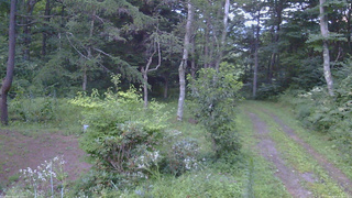 長野県菅平高原 ゆたか山荘 坂上 2026/08/14 18:30