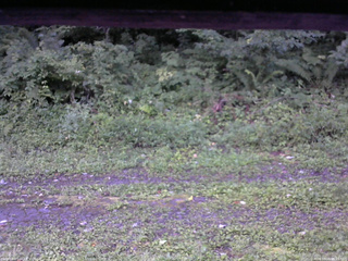 長野県菅平高原 ゆたか山荘 東側(坂下) 2026/08/15 05:15
