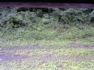 長野県菅平高原 ゆたか山荘 東側(坂下) 2026/08/15 07:30