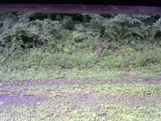 長野県菅平高原 ゆたか山荘 東側(坂下) 2026/08/15 07:45