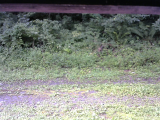 長野県菅平高原 ゆたか山荘 東側(坂下) 2026/08/15 08:00