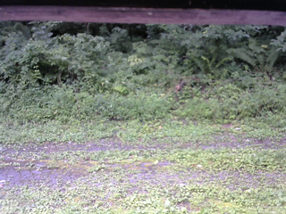 長野県菅平高原 ゆたか山荘 東側(坂下) 2026/08/15 09:15