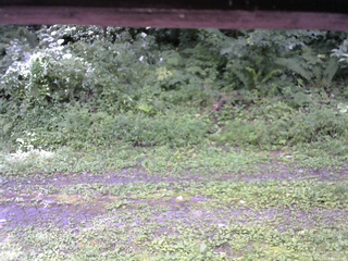 長野県菅平高原 ゆたか山荘 東側(坂下) 2026/08/15 11:15