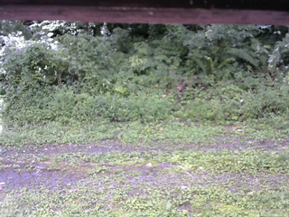 長野県菅平高原 ゆたか山荘 東側(坂下) 2026/08/15 11:30