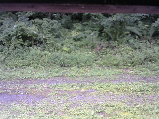 長野県菅平高原 ゆたか山荘 東側(坂下) 2026/08/15 13:00
