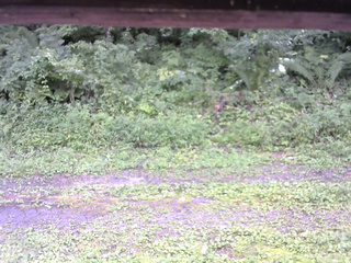 長野県菅平高原 ゆたか山荘 東側(坂下) 2026/08/15 14:00