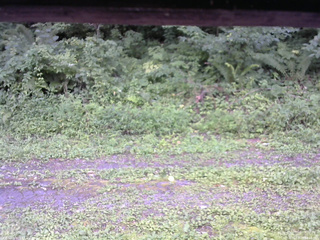 長野県菅平高原 ゆたか山荘 東側(坂下) 2026/08/15 14:15