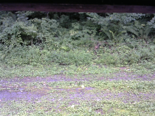 長野県菅平高原 ゆたか山荘 東側(坂下) 2026/08/15 14:30