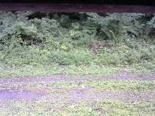 長野県菅平高原 ゆたか山荘 東側(坂下) 2026/08/15 14:45