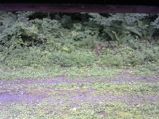 長野県菅平高原 ゆたか山荘 東側(坂下) 2026/08/15 15:00