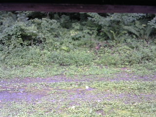 長野県菅平高原 ゆたか山荘 東側(坂下) 2026/08/15 15:15