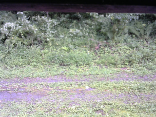 長野県菅平高原 ゆたか山荘 東側(坂下) 2026/08/15 16:00