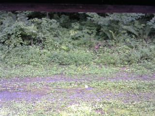長野県菅平高原 ゆたか山荘 東側(坂下) 2026/08/15 16:15