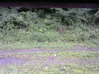 長野県菅平高原 ゆたか山荘 東側(坂下) 2026/08/15 16:30