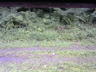 長野県菅平高原 ゆたか山荘 東側(坂下) 2026/08/15 16:45