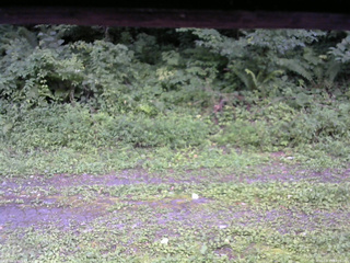 長野県菅平高原 ゆたか山荘 東側(坂下) 2026/08/15 17:15