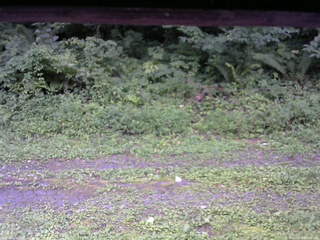 長野県菅平高原 ゆたか山荘 東側(坂下) 2026/08/15 17:45