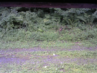 長野県菅平高原 ゆたか山荘 東側(坂下) 2026/08/15 18:15