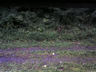 長野県菅平高原 ゆたか山荘 東側(坂下) 2026/08/15 18:45