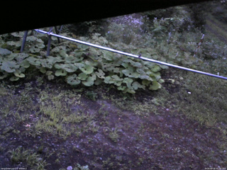 長野県菅平高原 ゆたか山荘 駐車場 2026/08/15 05:00