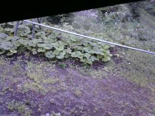 長野県菅平高原 ゆたか山荘 駐車場 2026/08/15 05:30