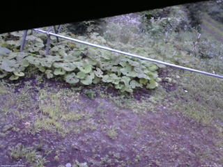 長野県菅平高原 ゆたか山荘 駐車場 2026/08/15 05:45