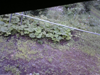 長野県菅平高原 ゆたか山荘 駐車場 2026/08/15 06:00