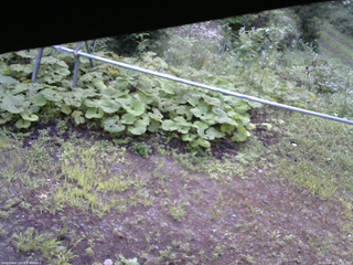 長野県菅平高原 ゆたか山荘 駐車場 2026/08/15 07:15