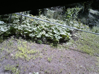 長野県菅平高原 ゆたか山荘 駐車場 2026/08/15 08:45