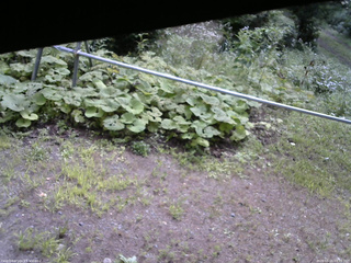 長野県菅平高原 ゆたか山荘 駐車場 2026/08/15 09:15