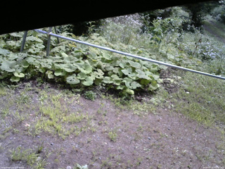長野県菅平高原 ゆたか山荘 駐車場 2026/08/15 09:30