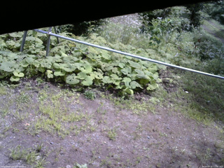 長野県菅平高原 ゆたか山荘 駐車場 2026/08/15 11:00