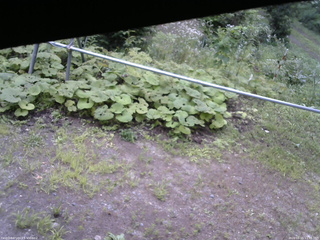 長野県菅平高原 ゆたか山荘 駐車場 2026/08/15 11:45