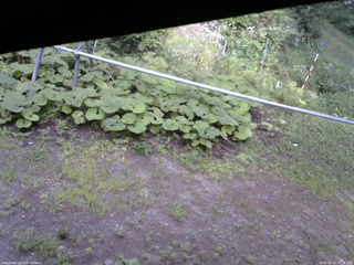 長野県菅平高原 ゆたか山荘 駐車場 2026/08/15 16:30