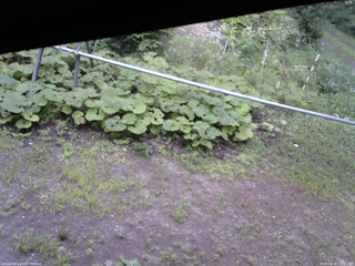長野県菅平高原 ゆたか山荘 駐車場 2026/08/15 16:45
