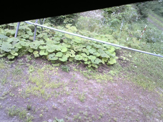 長野県菅平高原 ゆたか山荘 駐車場 2026/08/15 17:15